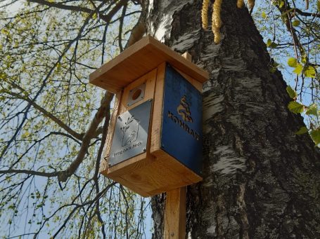 Nistkasten_Montage_bringbackbirds